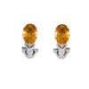 Aretes Citrino