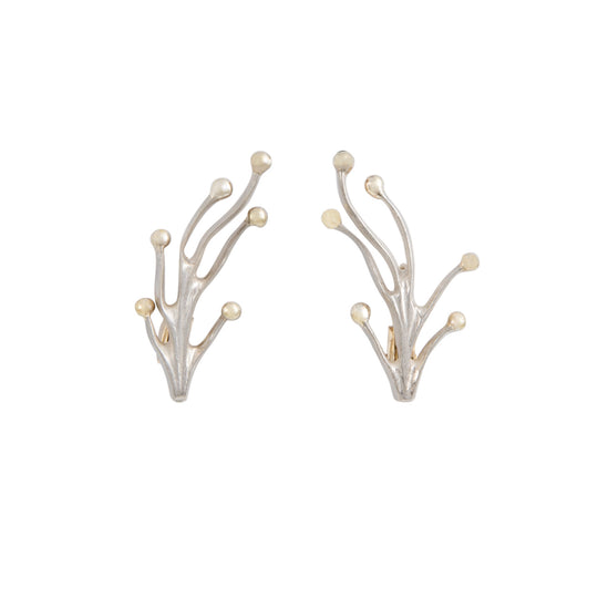 Aretes Diseño Rama