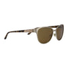 Lentes De Sol VE2147B