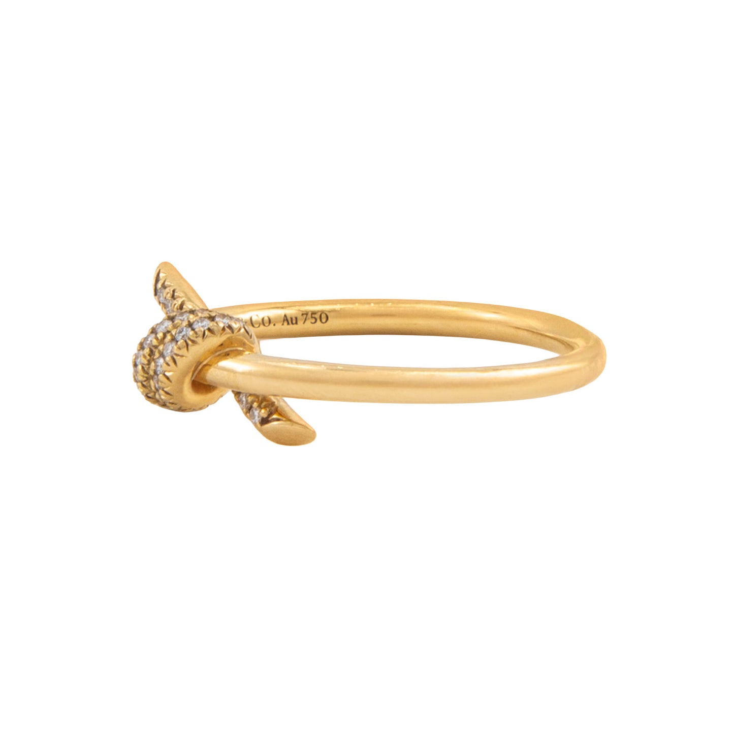 Anillo Knot