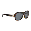 Lentes De Sol Carey