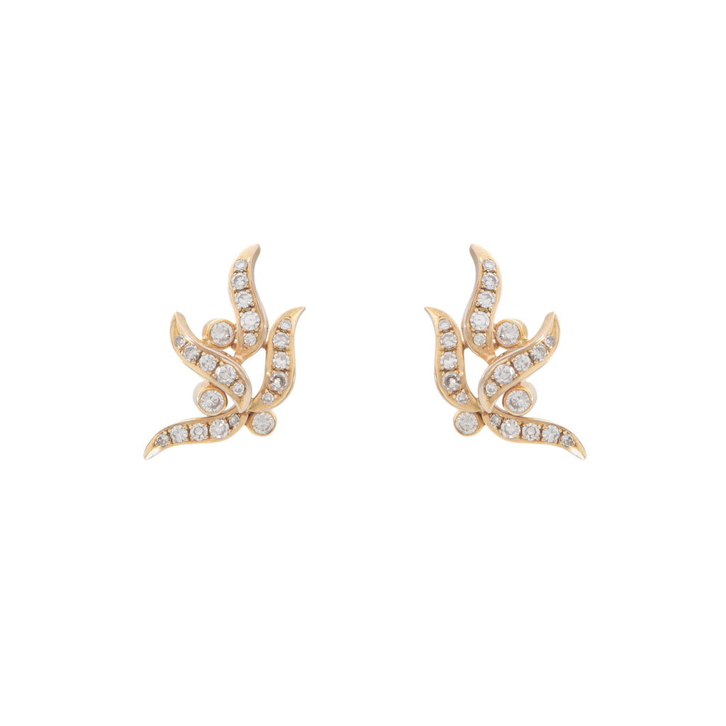 Aretes de Diseño Especial