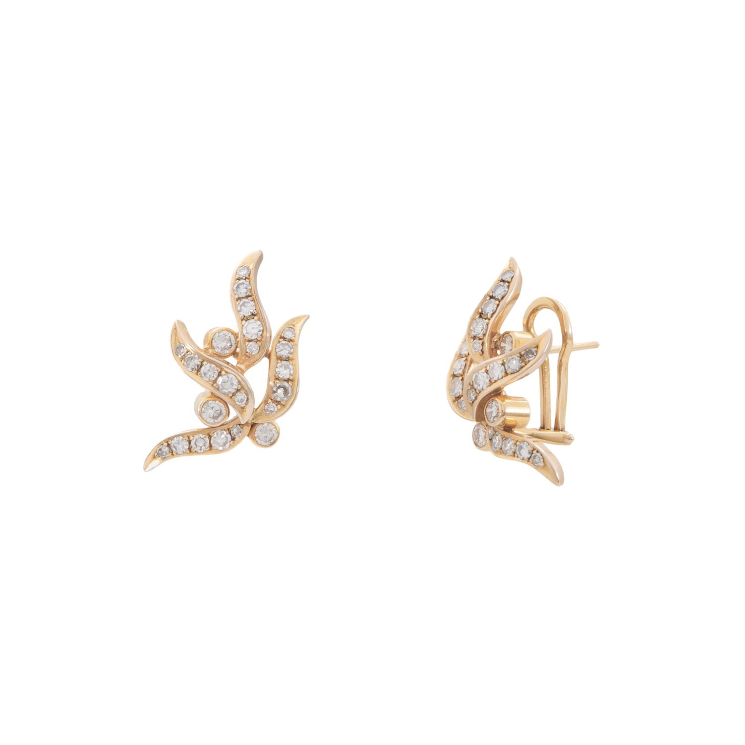 Aretes de Diseño Especial